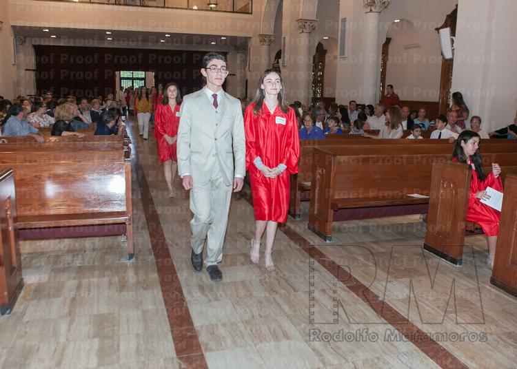 RMLF18800 Photo