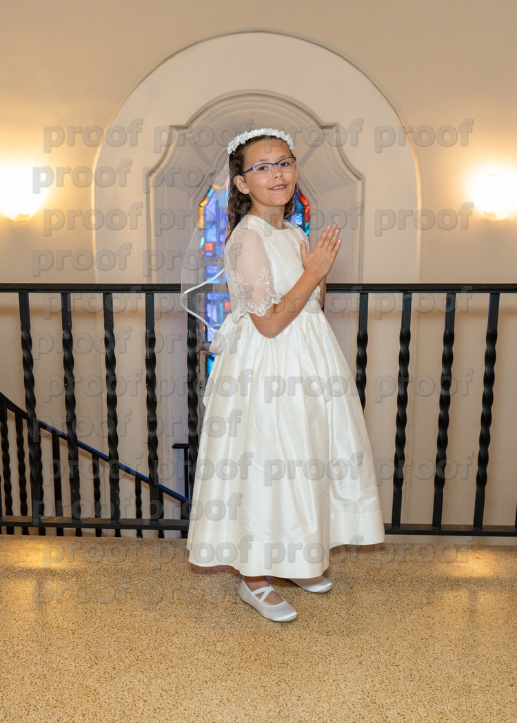 RMLF28079 Photo