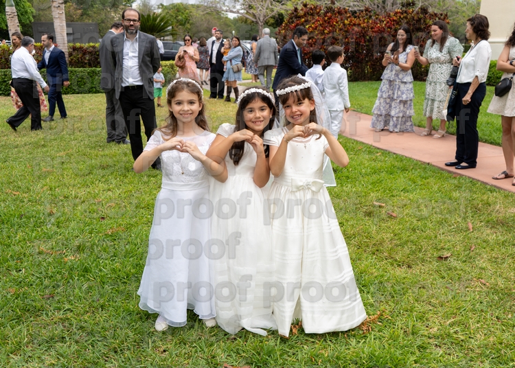 RMLF28452 Photo