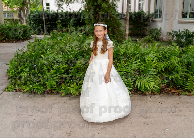 RMLF28636 Photo