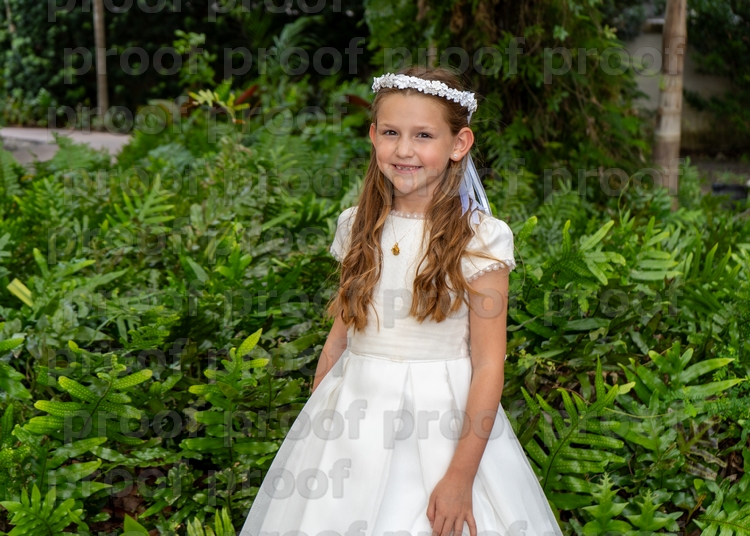 RMLF28637 Photo
