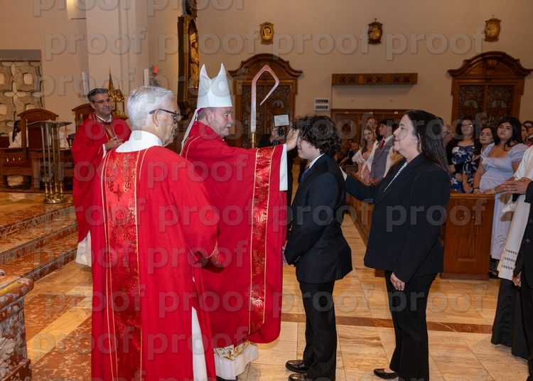 RMLF29545 Photo